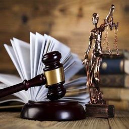 Immigration & Foreign Litigation