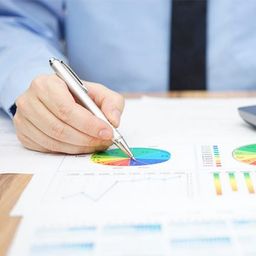 Portfolio Management & Advisories